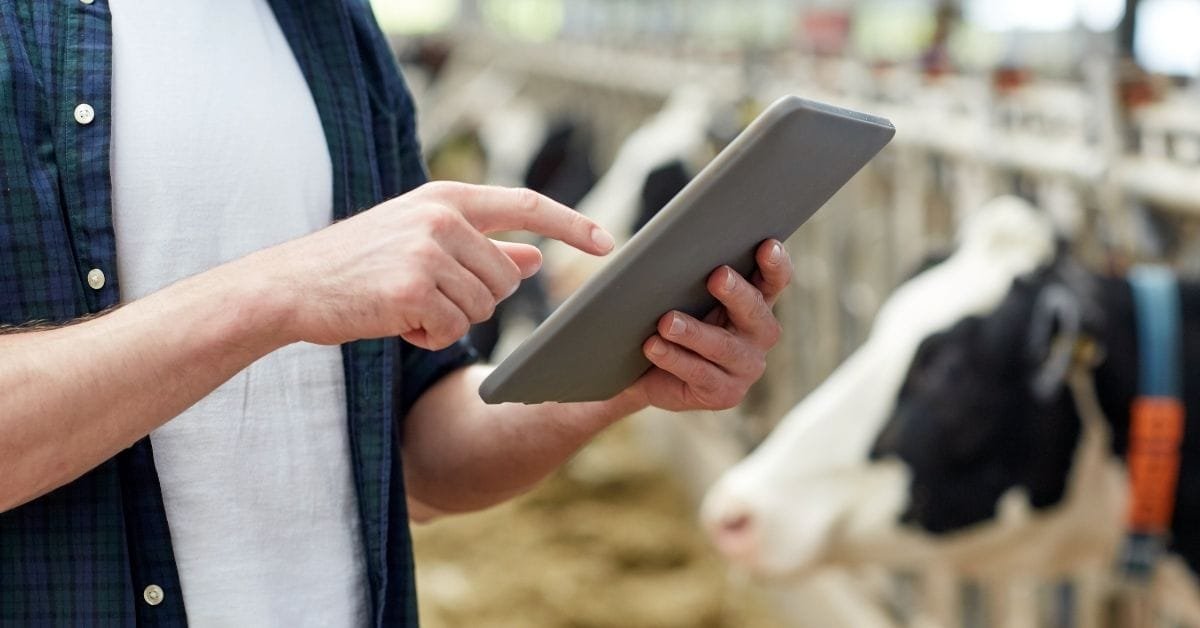 Dairy Farm Worker Jobs in Canada