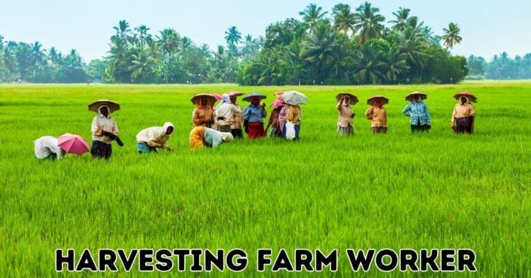 Harvesting Farm Worker Jobs in Canada