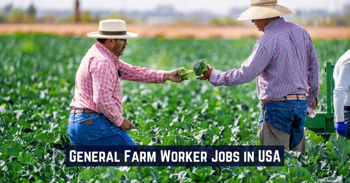 General Farm Worker Jobs in USA