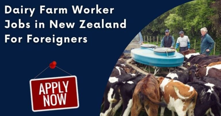 Dairy Farm Worker Jobs in New Zealand