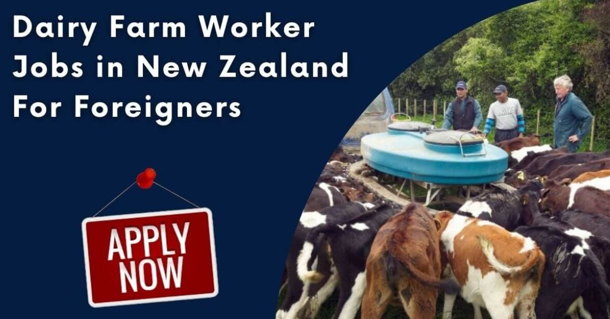 Dairy Farm Worker Jobs in New Zealand