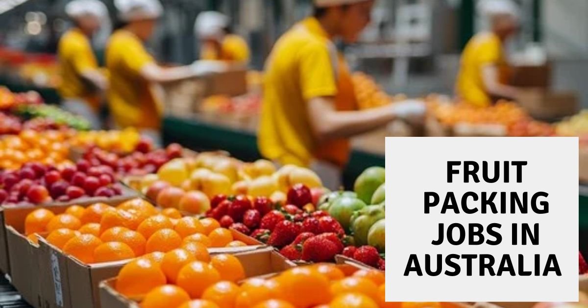 Fruit Packing Jobs in Australia