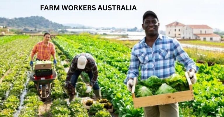 Vegetable Farm Worker Jobs in Australia