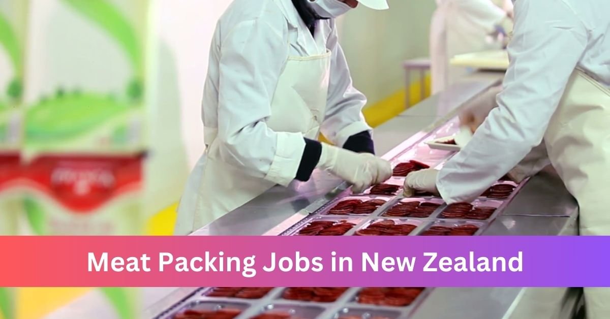 Meat Packing Jobs in New Zealand